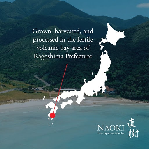 Chiran Harvest Ceremonial Grade Matcha