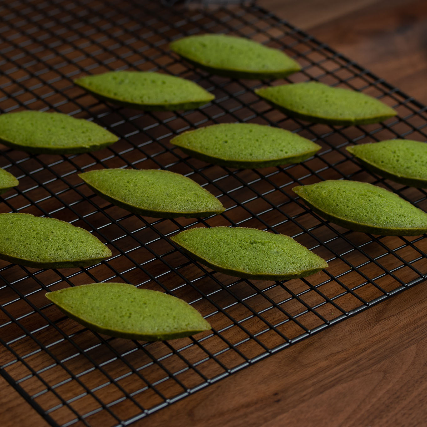 Barista Pro Blend Ceremonial Grade Matcha