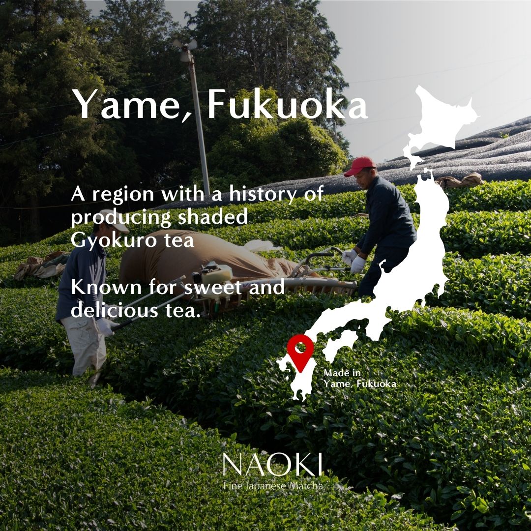 Yame Single-Cultivar Matcha Set (4x20g)